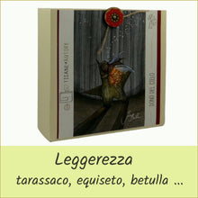 Carica l'immagine nel visualizzatore di Gallery, Scatola illustrata con tisana ECO - DONO DEL CIELO