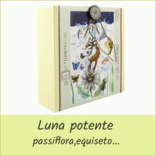 Carica l'immagine nel visualizzatore di Gallery, scatola illustrata con tisana bio - 10..100..1000 mondi