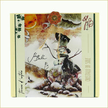 Carica l'immagine nel visualizzatore di Gallery, scatola illustrata con tisana bio - cristalli di sole