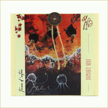 Carica l'immagine nel visualizzatore di Gallery, scatola illustrata con miscela di tè bio - diamante nero