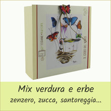 Carica l'immagine nel visualizzatore di Gallery, scatola illustrata con tisana bio - il gioco del vento