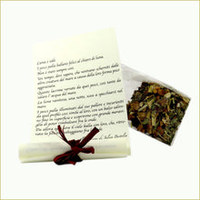 Carica l'immagine nel visualizzatore di Gallery, scatola illustrata con tisana bio - luna e sale