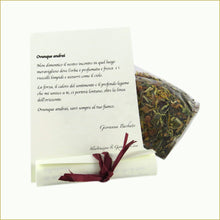 Carica l'immagine nel visualizzatore di Gallery, scatola illustrata con tisana bio - ovunque andrai