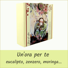 Carica l'immagine nel visualizzatore di Gallery, Scatola illustrata con tisana BIO - PROFUMO DI GENTILEZZA