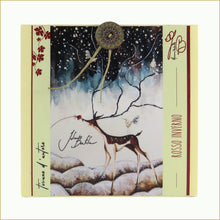 Carica l'immagine nel visualizzatore di Gallery, scatola illustrata con tisana bio - rosso inverno