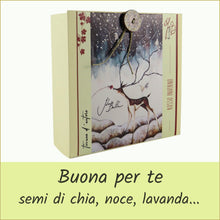 Carica l'immagine nel visualizzatore di Gallery, scatola illustrata con tisana bio - rosso inverno