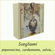 Carica l'immagine nel visualizzatore di Gallery, scatola illustrata con tisana bio - sapore di sale