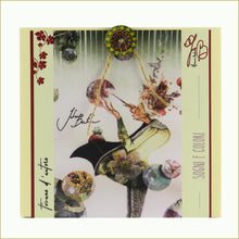 Carica l'immagine nel visualizzatore di Gallery, scatola illustrata con infuso di frutta bio - sogni e colori