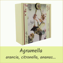 Carica l'immagine nel visualizzatore di Gallery, scatola illustrata con infuso di frutta bio - sogni e colori