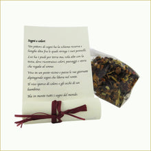 Carica l'immagine nel visualizzatore di Gallery, scatola illustrata con infuso di frutta bio - sogni e colori