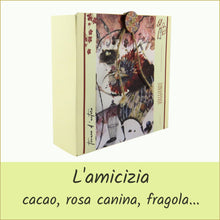 Carica l'immagine nel visualizzatore di Gallery, scatola illustrata con infuso di frutta bio - viaggiando