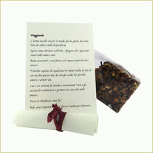Carica l'immagine nel visualizzatore di Gallery, scatola illustrata con infuso di frutta bio - viaggiando