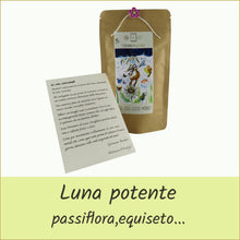 Carica l'immagine nel visualizzatore di Gallery, tisane d'autore® busta di tisana bio - 10..100..1000 mondi