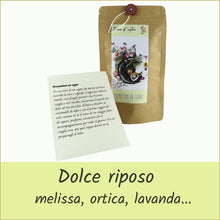Carica l'immagine nel visualizzatore di Gallery, Tisane d'Autore® Busta mini di tisana BIO - PROMETTIMI UN SOGNO