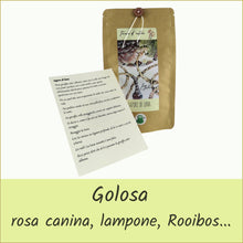 Carica l'immagine nel visualizzatore di Gallery, tisane d'autore® busta con infuso di frutta bio - sapore di luna