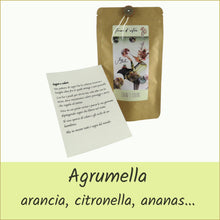 Carica l'immagine nel visualizzatore di Gallery, tisane d'autore® busta con infuso di frutta bio - sogni e colori