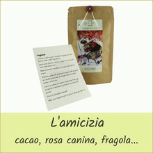 Carica l'immagine nel visualizzatore di Gallery, tisane d'autore® busta con infuso di frutta bio - viaggiando